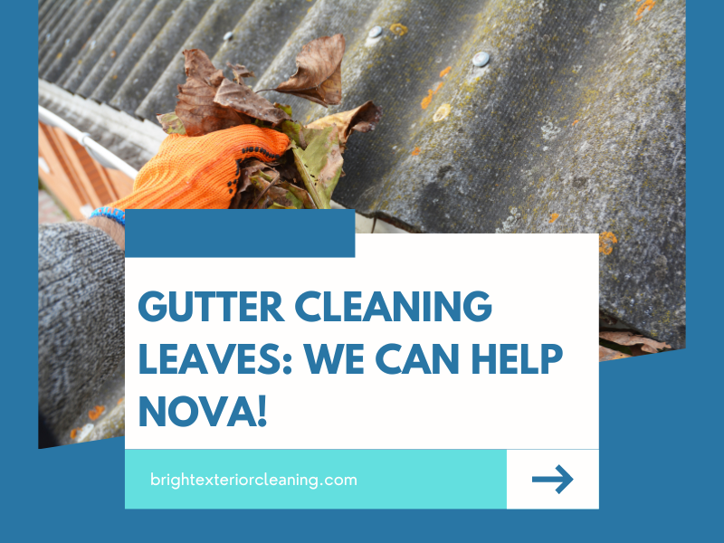 gutter cleaning leaves nova